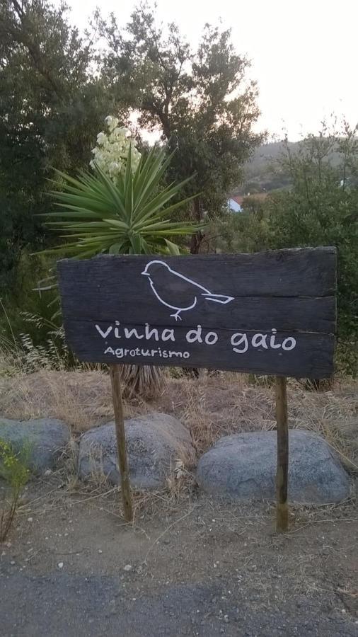 Vinha Do Gaio Villa Montes de Cima Eksteriør bilde