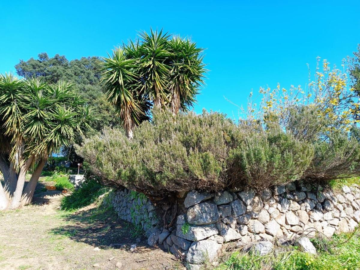 Vinha Do Gaio Villa Montes de Cima Eksteriør bilde
