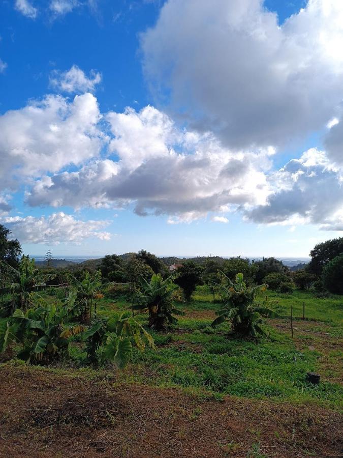 Vinha Do Gaio Villa Montes de Cima Eksteriør bilde